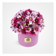 Violet Color Box